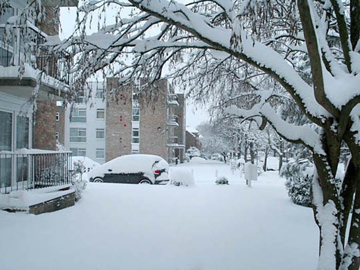 Laurel Manor in winter.